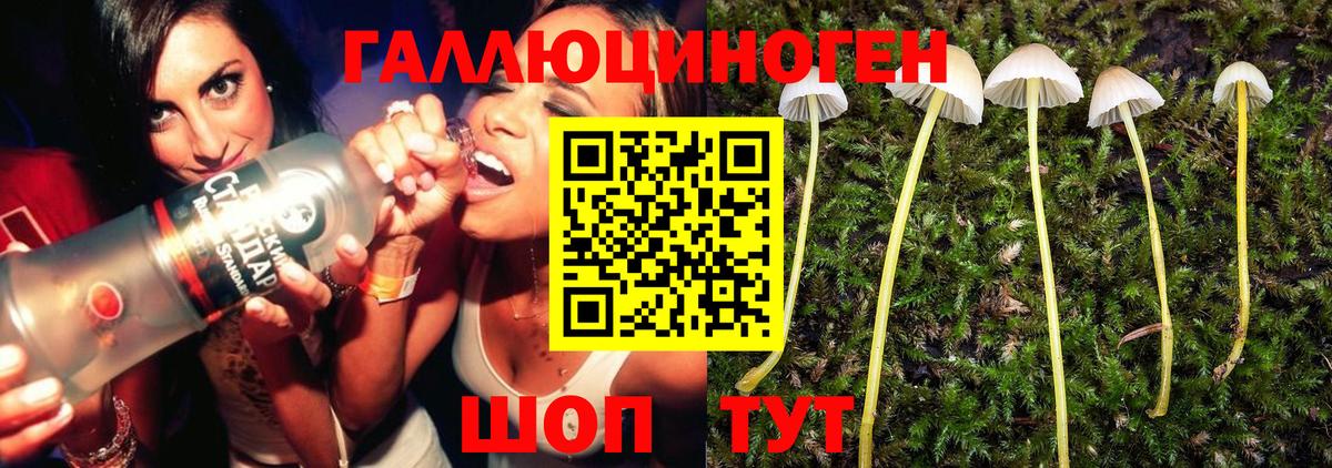 Галлюциногенные грибы Magic Shrooms  Галлюциногенные грибы прущие грибы  Вход с VPN  Клинцы 
