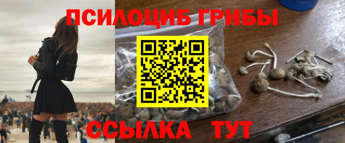 Псилоцибиновые грибы MAGIC MUSHROOMS Клинцы